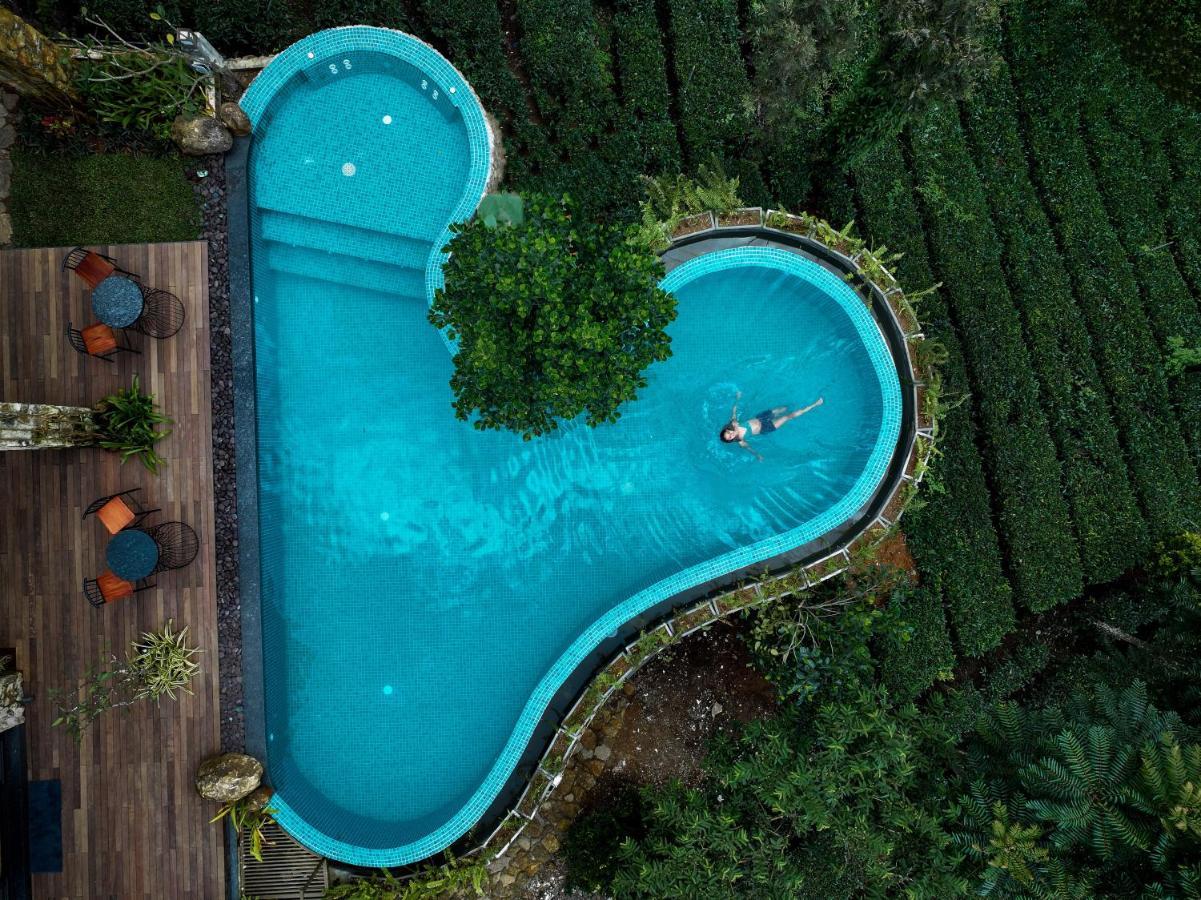 Tea & Tranquility By Moksha Stays Vagamon Eksteriør billede